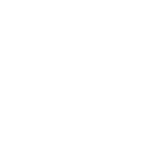 Proyecto nuevo (11)