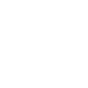 Proyecto nuevo (13)