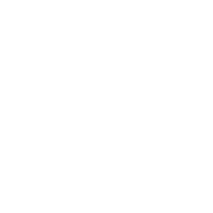 Proyecto nuevo (8)